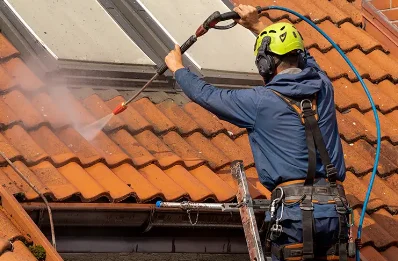 Démoussage et hydrofuge de toiture à Châtas